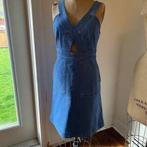 Amazing and Rare Stella McCartney Denim Dress( Host Pick!)